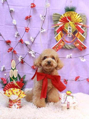 20230108ララちゃん